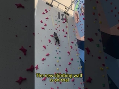 Стандартный крытый автомобиль панели стены скорости скалолазания Belay водоустойчивое