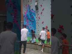Взбираться скорости Bouldering стеклоткани держит профессиональную анти- корозию